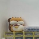네일토리