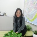 가원공인중개사사무소 Daum카페