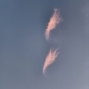 호반무인텔 이미지