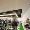 Gym BX4 네이버블로그