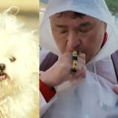 홍가이발소