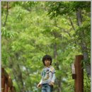 2009.5.2 ~5.5 남도, 그 설레임 속으로... -고성,남해,순천,보성,곡성