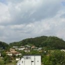 은화삼 이미지