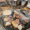 대박뒷고기 | 경주 빼돌린뒷고기 추천후기 쫄깃함 대박 (또간집 맛집)