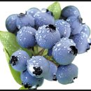 아이(eye) 플러스 이미지