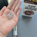 다이소에서 발견한 초코맛 유한 생유산균(스틱)! 맛있게 챙기는 장 건강 습관