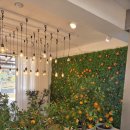 세종대왕릉역 | [여주 카페] 카페 귤낭ㅣ다양한 귤나무와 제주 귤의 매력을 담은 카페 방문 후기 (내돈내산, 주차가능)