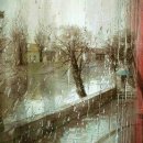 아카사카 이미지