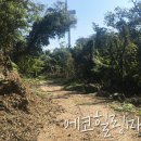 상명목장 이미지