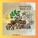 호야문구 | 청주 이벤트 용품 헬로후니호야 풍선 토퍼 후기