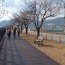 낙동강역사너울길 이미지