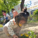 민들레세차장 - 북구 저불로69번길 9 | 민들레세차장
