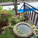 산청패밀리 이미지