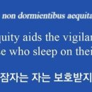 The law assists those that are vigilant not those that sleeps on the right 이미지