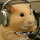 수제비먹는 닭갈비