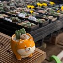 도그베이 동백점 | 2025년 8월 일상기록