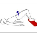 몸이 가벼워지는 폼롤러 운동법! 이미지