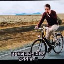 단디토스트&김밥 | 세상 사람들 이 순한 고양이 좀 보세요