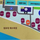 청포대솔밭야영장 이미지