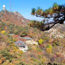 홍촌마애승상 | 여암 신경준 관수화층(旅庵 申景濬 冠峀花層), 관악산 가을단풍