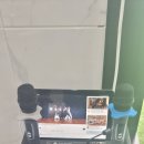 워너비독 이미지