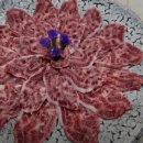 동수한우집 이미지