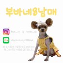 남원주중학교 | [원주왁싱샵] 버터왁싱&amp;에스테틱