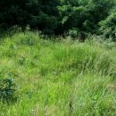 가곡3리 이미지