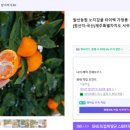 서귀포귤사랑