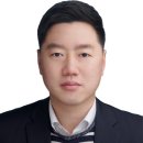 바스큘라비전