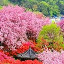 칠봉목장 이미지