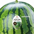 유광농장 이미지