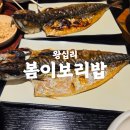 왕십리맛집 봄이보리밥 왕십리역사점 후기 (꼬막비빔밥, 고등어구이 솔직리뷰)