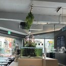 카페슬로우 이미지