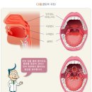 J0391 이미지