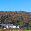 북내초등학교도전분교장 이미지