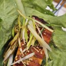 기통찬장어 이미지