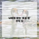 생기(여자) 이미지