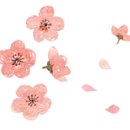 단비펫살롱 이미지