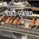 치치양꼬치 | 대전 갈마동 치치양꼬치 내돈내산 후기