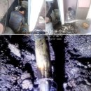 송광약국 이미지