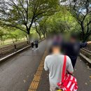 영광카프라자 | 2024 분당 파크콘서트 잔디석 티켓 카더가든 장기하 후기
