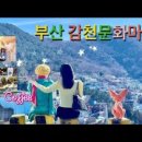 더프(DUF) 네이버블로그