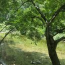 횡성병지방펜션 이미지