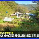 평창)평창강 건너편 5도2촌 지상권 농가주택(내용참고) 이미지