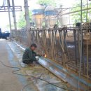 태평목장 이미지