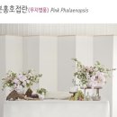 플러스존1 | 돌잔치 준비 :: 삼성호텔 • 엘프로젝트 • 그리다스냅 • 오니리코스튜디오