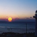 새천년로 이미지