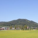 정암 조광조 선생 유배지 이미지