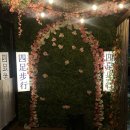 면목동-114 | 상봉 술집 추천 사족보행｜닭목살 유린기·차돌스지수육 맛집